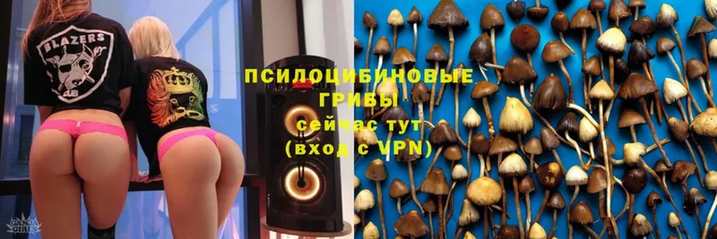 Галлюциногенные грибы GOLDEN TEACHER  omg как зайти  Шумерля 